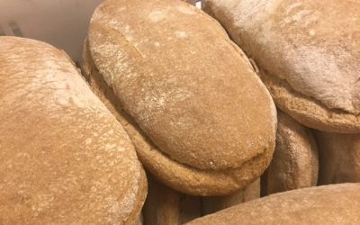 Pane di Montegemoli al NaturalBio